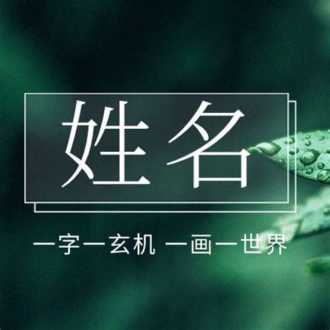 女用男名|《名字性别倾向的形成机制研究》